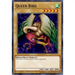 Uccello Regina (V.2 - Common)