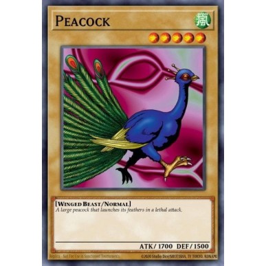 Pavone (V.2 - Common)