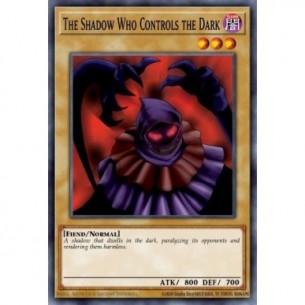 The Shadow Who Controls the...