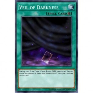 Veil of Darkness