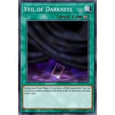 Veil of Darkness