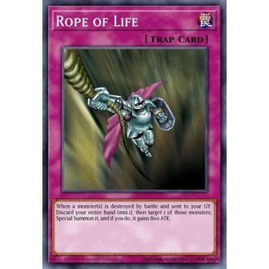 Rope of Life