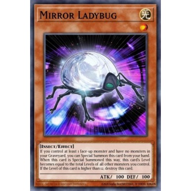 Mirror Ladybug