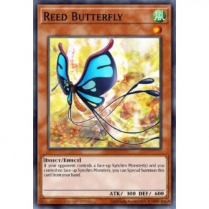 Reed Butterfly