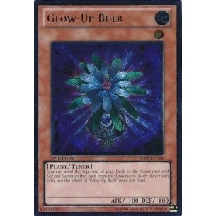 Glow-Up Bulb (V.2 -...