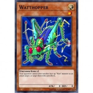 Wattcavalletta