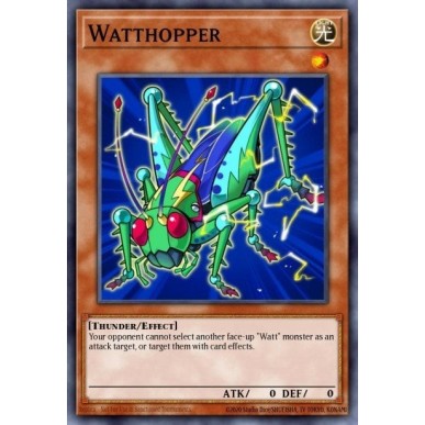 Wattcavalletta