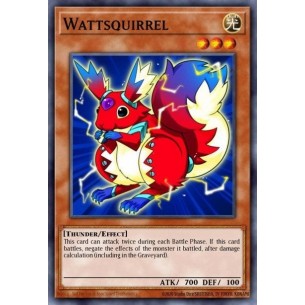 Wattsquirrel