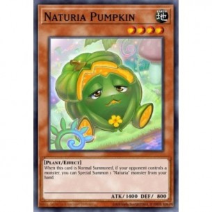 Naturia Pumpkin