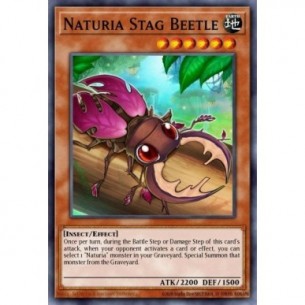 Naturia Stag Beetle