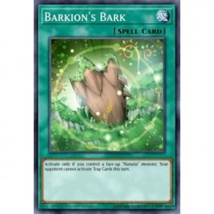 Corteccia di Barkion