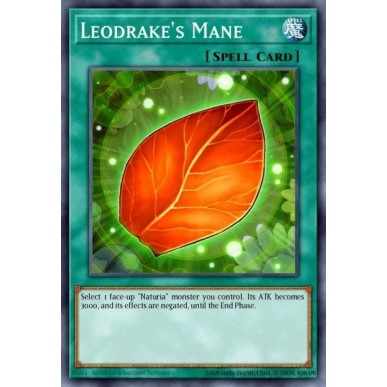 Leodrake's Mane