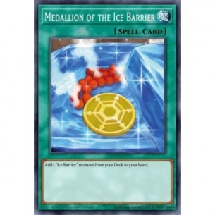 Medallion of the Ice Barrier