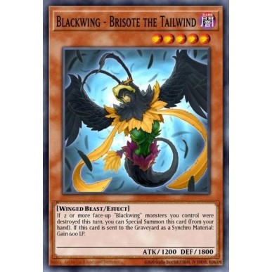 Blackwing - Brisote the Tailwind