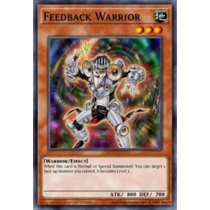 Feedback Warrior