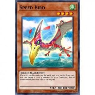 Speed Bird