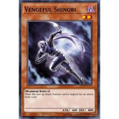 Vengeful Shinobi