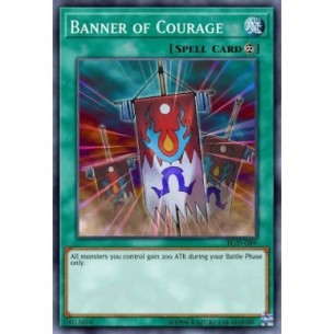Banner of Courage