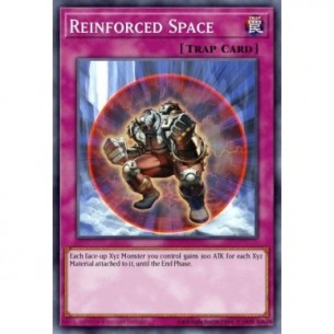 Reinforced Space