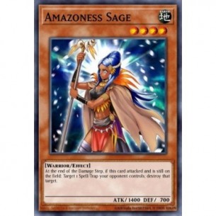 Saggio Amazoness