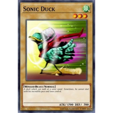 Sonic Duck