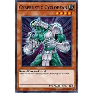Cybernetic Cyclopean