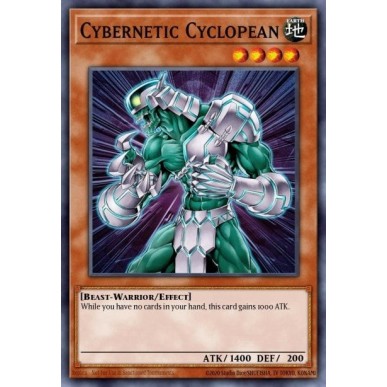 Cybernetic Cyclopean