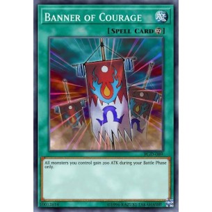 Banner of Courage