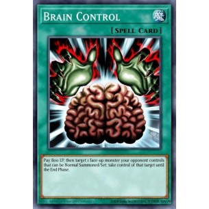 Brain Control