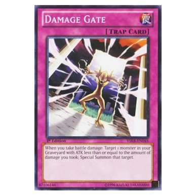 Damage Gate