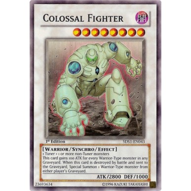 Colossal Fighter