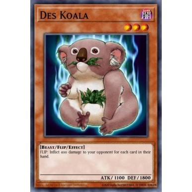 Des Koala