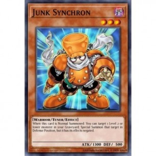 Junk Synchron