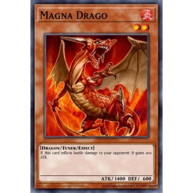 Magna Drago