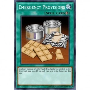 Emergency Provisions