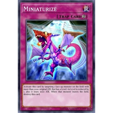 Miniaturizzare