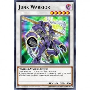 Junk Warrior