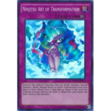 Arte della Trasformazione Ninjitsu