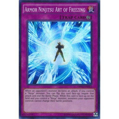 Armor Ninjitsu Art of Freezing