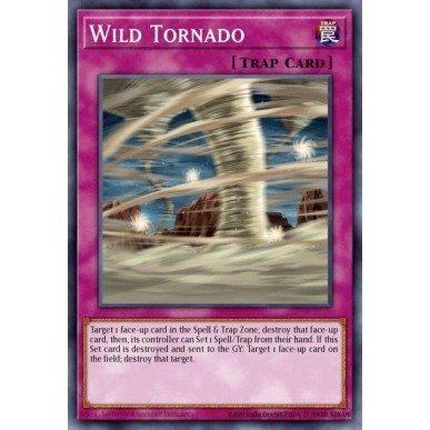 Tornado Selvaggio