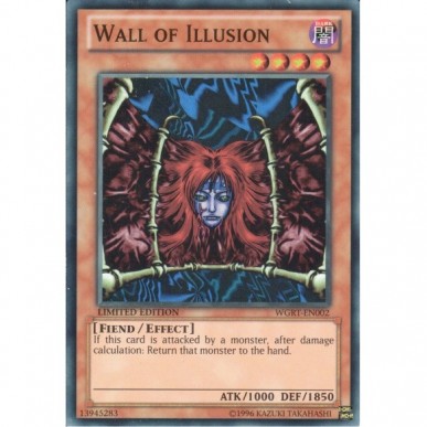 Wall of Illusion