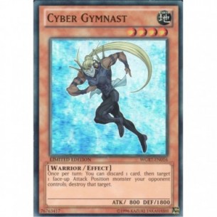 Cyber Gymnast
