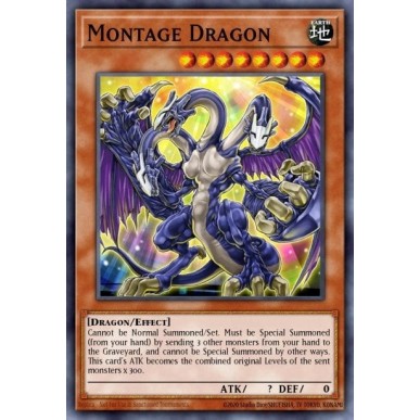 Montage Dragon