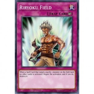 Riryoku Field