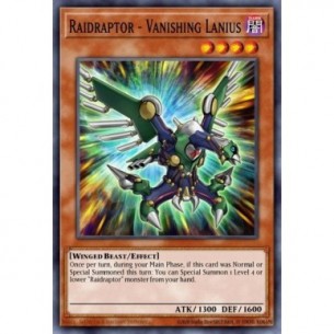 Raidraptor - Lanius...