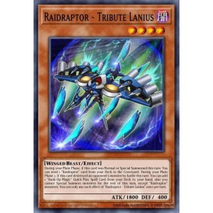Raidraptor - Lanius Tributo