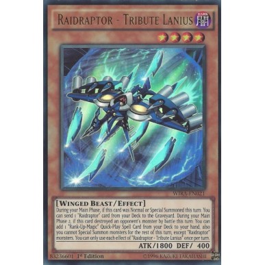 Raidraptor - Lanius Tributo