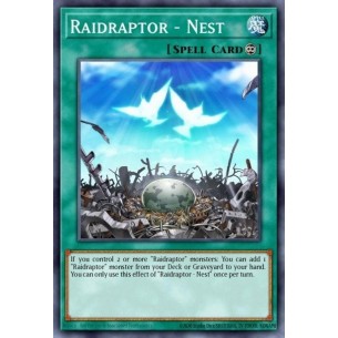 Raidraptor - Nido