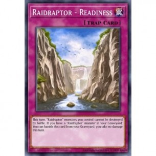 Raidraptor - Prontezza