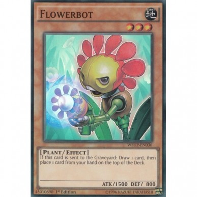 Robofiore